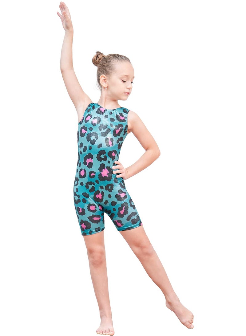 EQSJIU Toddler Girls Leotard For Gymnastics 3t 4t 3-4t Blue Leopard Pink Leotards With Shorts Kids Outfits Biketard Starry Sparkle Apparel Clothes 3t Leotard Gymnastics - Image 2